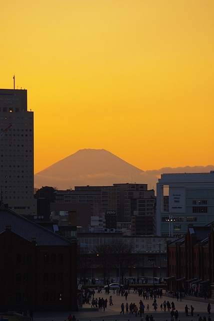 c0125596_21414723.jpg
