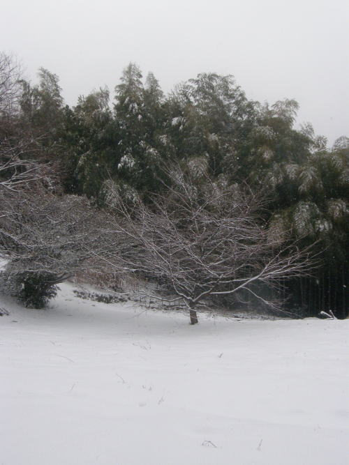 e0017396_210651.jpg