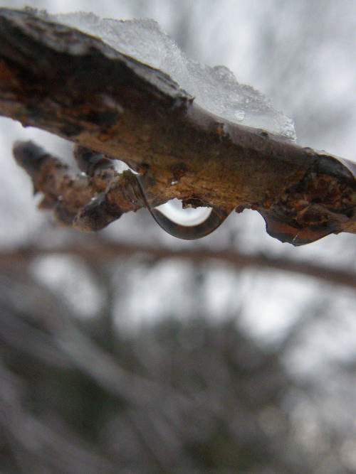 e0017396_2125115.jpg