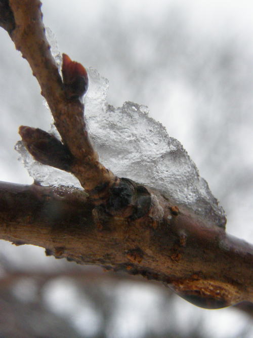 e0017396_2175345.jpg