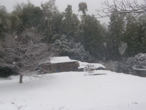 e0017396_253589.jpg