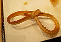 c0138198_22485547.jpg