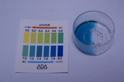 a0183301_182044100.jpg