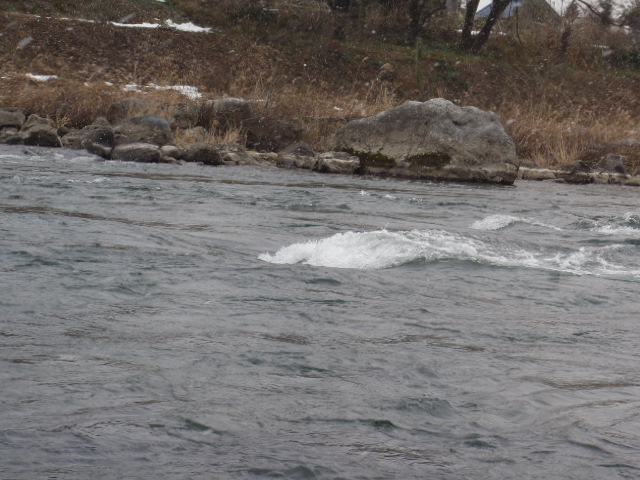 a0121502_804872.jpg