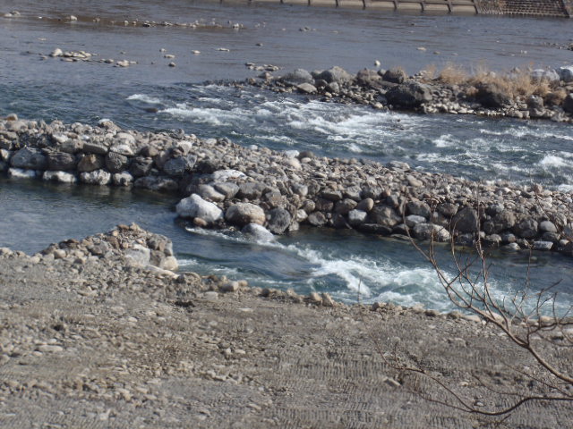 a0121502_813245.jpg