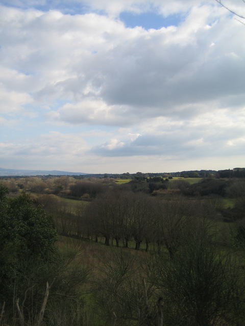 e0211204_547434.jpg