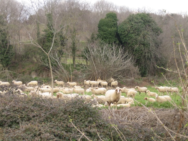 e0211204_5483173.jpg