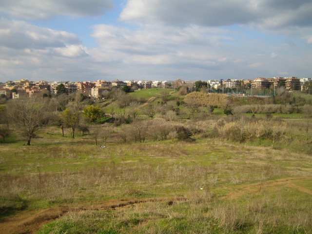 e0211204_550331.jpg