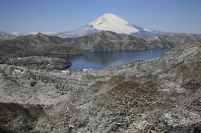 a0188405_9412966.jpg