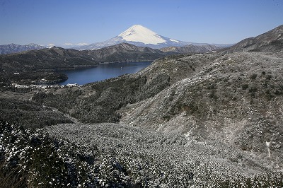 a0188405_9505769.jpg
