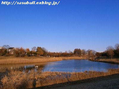 e0145805_17445117.jpg