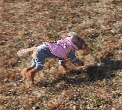 c0041207_949573.jpg