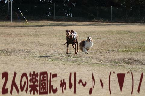 e0100007_21591911.jpg