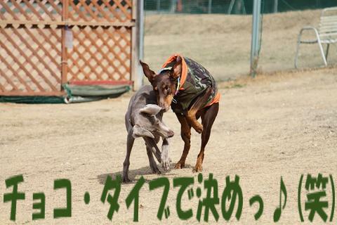 e0100007_2201367.jpg