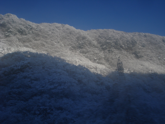 e0015108_7181383.jpg