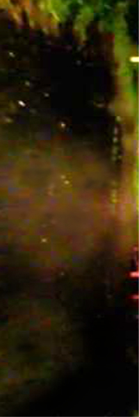 e0103408_18185020.jpg