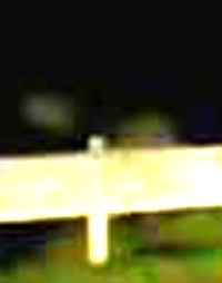 e0103408_18334849.jpg