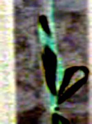 e0103408_617523.jpg