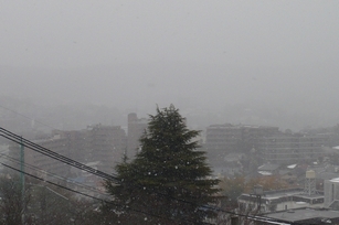 f0221708_1712042.jpg