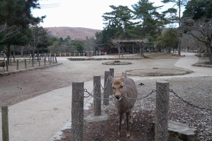 f0221708_17401251.jpg