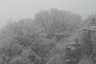 f0221708_1782473.jpg