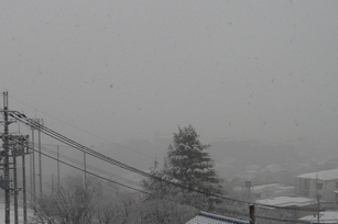 f0221708_178277.jpg