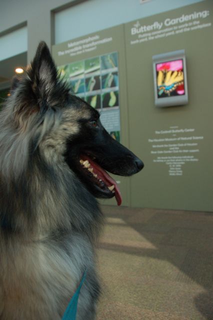 f0227709_7371751.jpg
