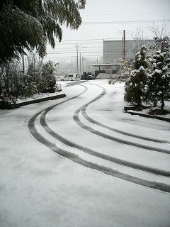 c0190010_21193725.jpg