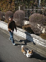 c0141011_9254832.jpg