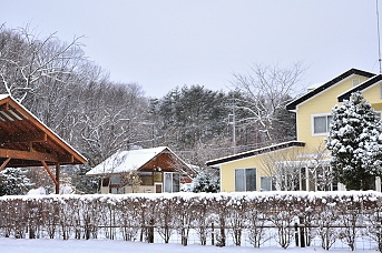 e0005411_6481872.jpg
