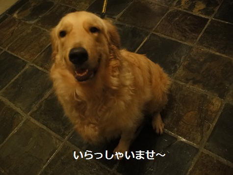 c0145615_17131341.jpg