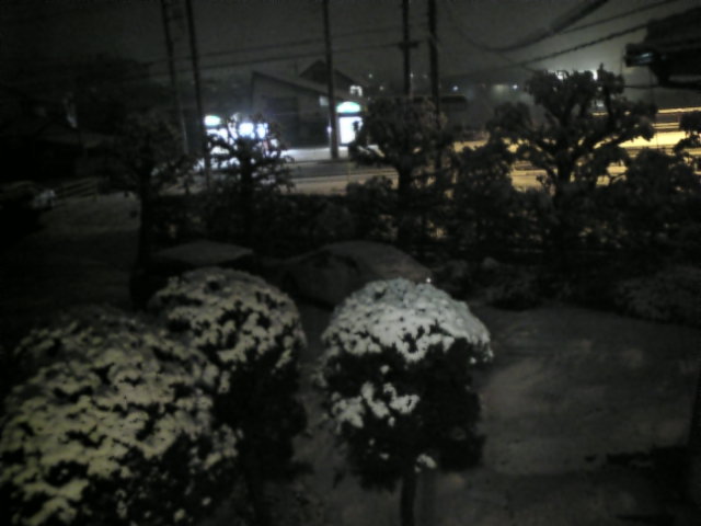 c0003217_23423136.jpg