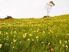 a0157619_23271112.jpg