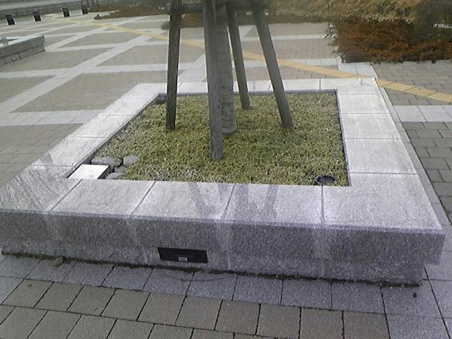 f0119119_21292416.jpg