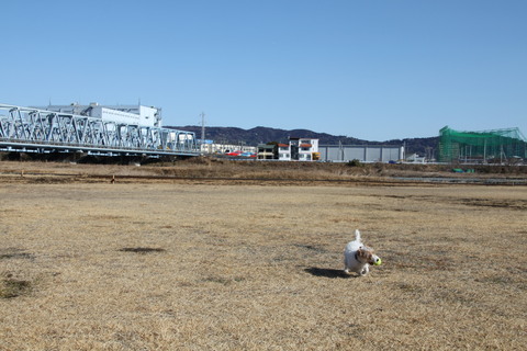 f0186021_19481493.jpg
