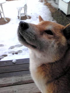 c0227522_161464.jpg