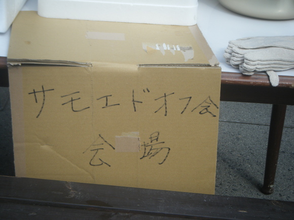 e0024126_17124625.jpg