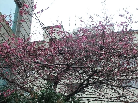 f0111926_17175190.jpg