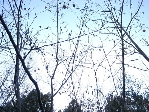 c0199627_1562551.jpg