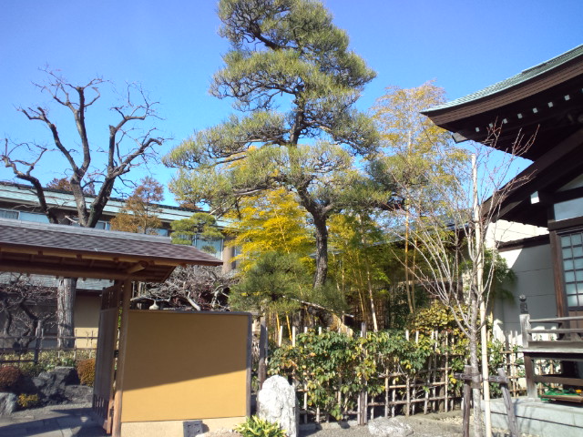 e0016828_1056572.jpg