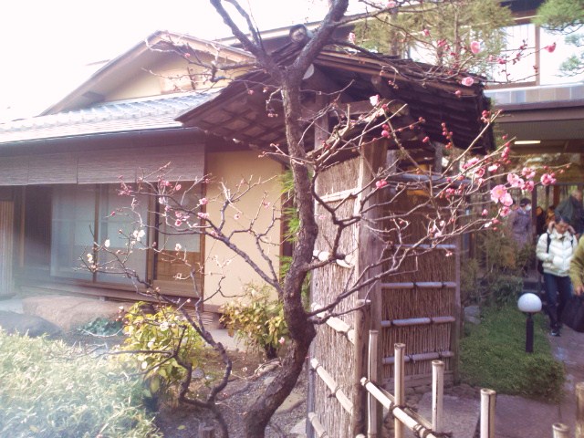 e0016828_11361958.jpg