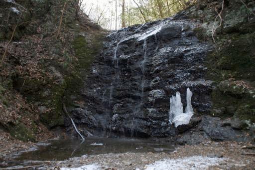 e0033229_13245590.gif