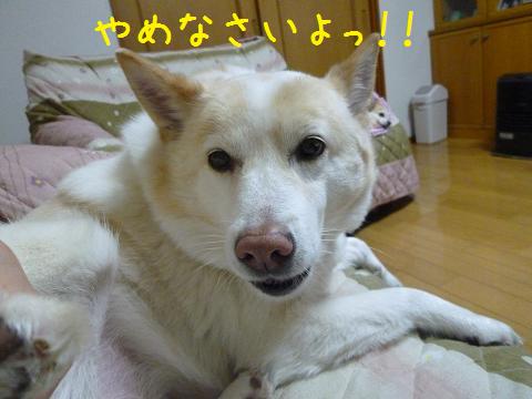 b0138430_20241792.jpg