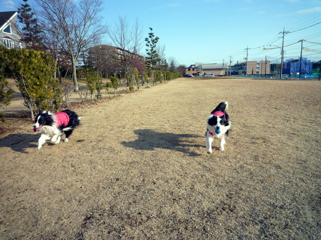 d0059230_964644.jpg