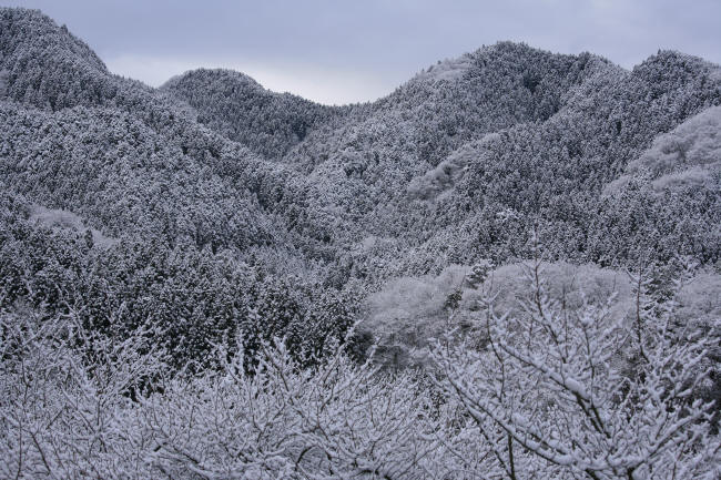 f0017530_2053169.jpg
