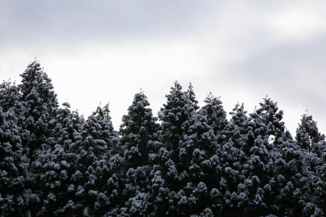 f0017530_20534721.jpg