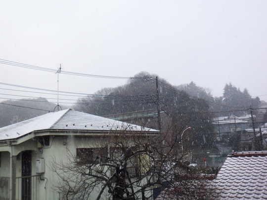 f0045433_0123535.jpg