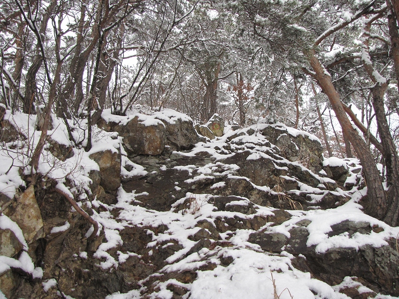 b0097836_16582671.jpg