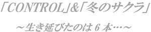 d0164636_9495271.jpg