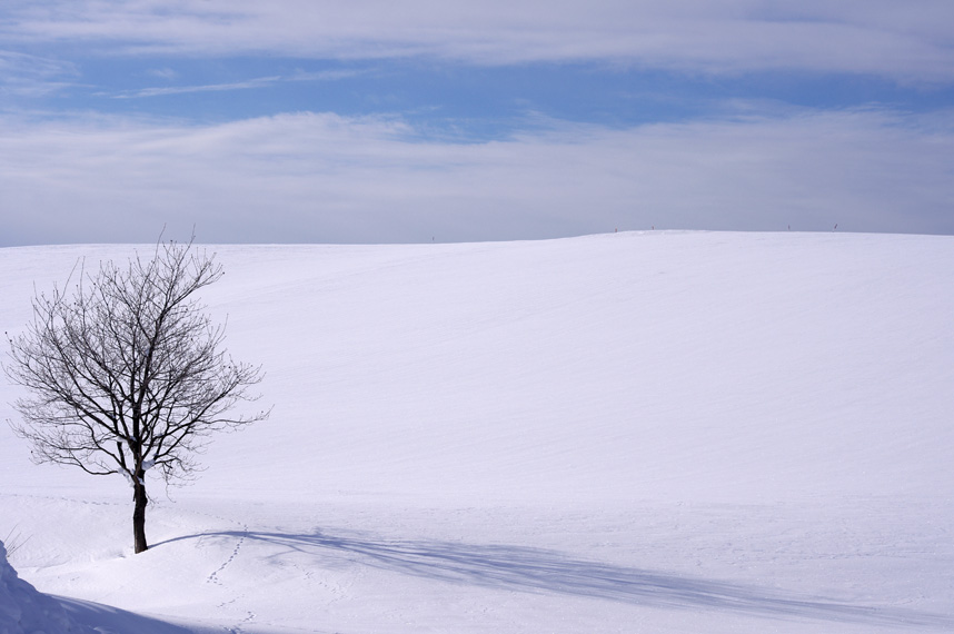 f0152939_96369.jpg